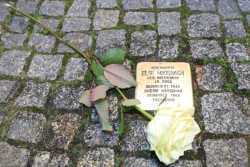 Magdeburg verlegt 30 weitere Stolpersteine in Gedenken an NS-Opfer