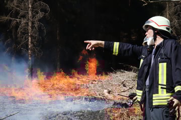 Brisanter Verdacht nach Waldbrand-Serie in NRW: Haben Feuerwehrleute die Brände gelegt?