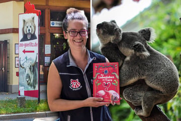 Tierpark zeigt Kindern, warum Doppelpenetration bei Koalas ganz normal ist