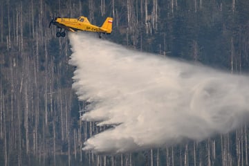 Sachsen-Anhalt noch immer stark von Waldbränden betroffen