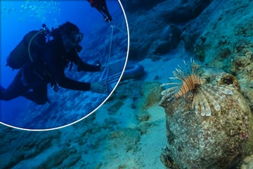 Sensations-Fund im Mittelmeer! Forscher entdecken ältestes Schiffswrack der Welt