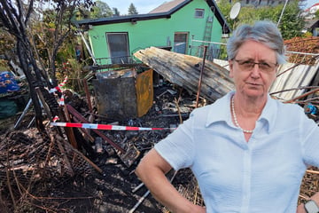 Dresden: Kleingarten-Chefin ist verärgert: Feuerwehr knackt Schloss, obwohl es einen Schlüssel gibt