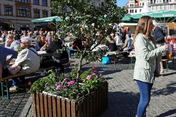 Leipzig: Live-Musik, leckeres Essen und buntes Programm: Das sind die diesjährigen Leipziger Markttage