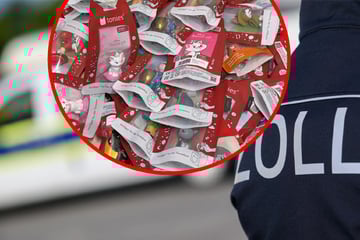 Pokémon, Tonies und kaum Wechselwäsche: Zoll stoppt bizarren Schmuggel und deckt Straftat auf