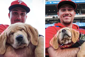 Baseball-Team bekommt tierischen Zuwachs, doch was aus dem Hund wird, lässt alle Herzen schmelzen