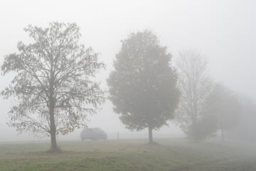 Mal grau, mal sonnig: Herbstwetter in Köln zeigt diese Woche alle Facetten