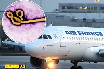Erster Fall in Europa: Mann in Frankreich mit Ebola-Virus infiziert