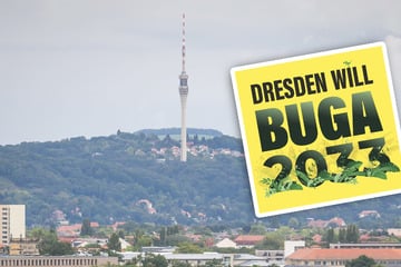Fernsehturm und BUGA in Gefahr? Debatte über Folgen der Haushaltssperre