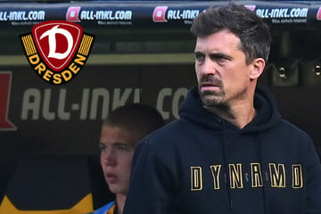 Dynamo-Coach Stamm kritisiert das Trainer-Roulette! "Es ist gerade eine Flut"