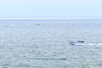 Cessna stürzt vor Küste ins Meer: Sechs Passagiere immer noch vermisst