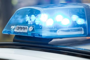 Polizist will auf Boden liegendem Biker ausweichen und kracht mit Auto gegen Baum