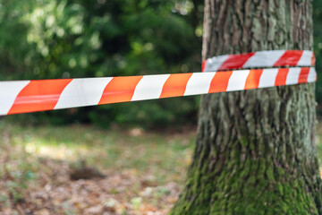Polizei entdeckt Leiche junger Frau: Ermittler haben schrecklichen Verdacht