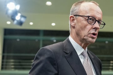 Eklat bei Bund-Länder-Treffen: Kanzler Merz gerät mit Umweltminister aneinander