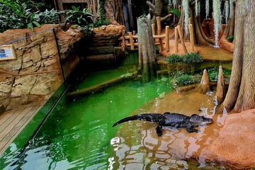 Endlich ist es so weit: Leipziger Zoo hat ein nagelneues Terrarium