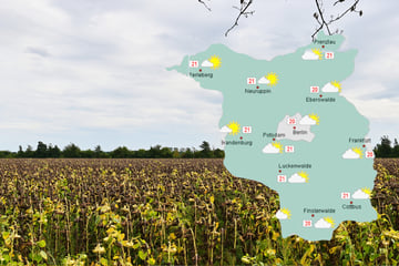 Wetterumschwung in Berlin und Brandenburg: Regen und frische Temperaturen