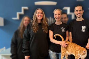 Hamburg: Beliebtes Katzen-Café schließt für immer: "Können nicht mehr"