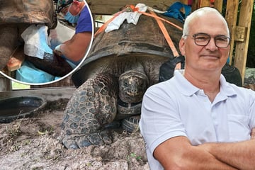 Notruf aus Paradies: Deutscher Chefarzt soll ungewöhnlichem Patienten helfen