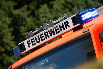 Ulmer Autofirma in Flammen: 800.000 Euro Schaden!