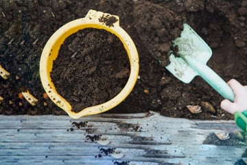 Can you reuse potting soil? Let's get gardening!