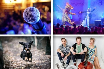 Messe, Konzert oder Speeddating: Diese Events hat Magdeburg am Sonntag zu bieten