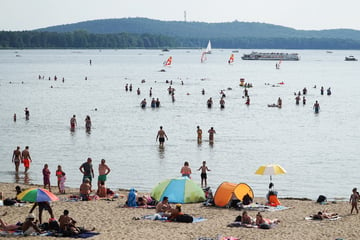 Berlin: Müggelsee-Halbmarathon einmal im Uhrzeigersinn: Das ist die Topzeit