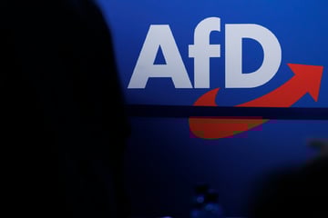 Bayern-Wahl 2026: Wie schneidet die AfD ab? Politik-Expertin sieht klare Grenzen