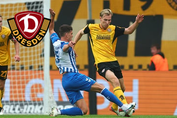 Einer wie Bayerns Kane!? Die neue Rolle von Dynamos Vermeij