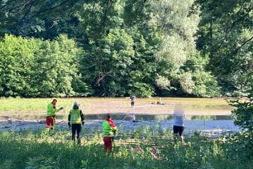 Kinder spielen auf Teichgelände, plötzlich versinkt eines von ihnen im Schlamm