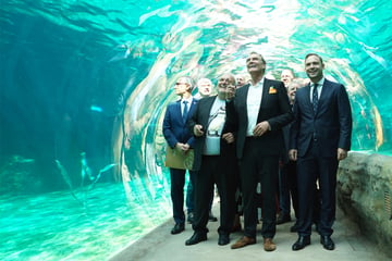 5 Millionen Liter Salzwasser & 100-Meter-Tunnel: Leipziger Zoo feiert "Feuerland"-Eröffnung
