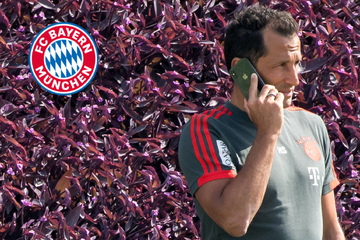 FC Bayern an Bundesliga-Star dran: Schon Salihamidzic wollte ihn nach München locken