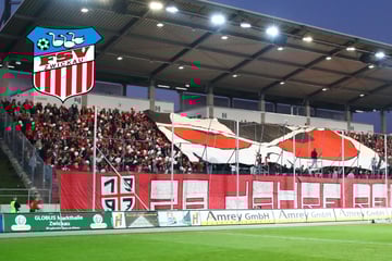 Starke Zahlen! So viele Zuschauer sahen die 17 Heimspiele des FSV Zwickau