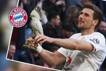 Mit Kakadu, aber ohne Weißbierdusche: So feiern die Meister-Bayern