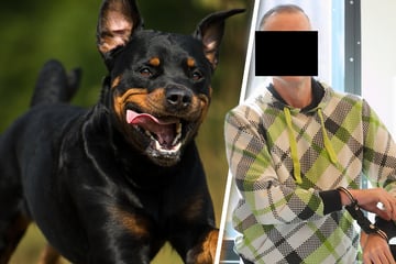 Staatsanwalt sicher: Kinderschänder hält sich Hund als Waffe
