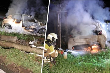 Strommast in Dresden zerstört: Toyota fängt nach Unfall Feuer