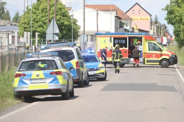 Leipzig: Tigerattacke in Sachsen: PETA gibt Behörden Mitschuld an Vorfall