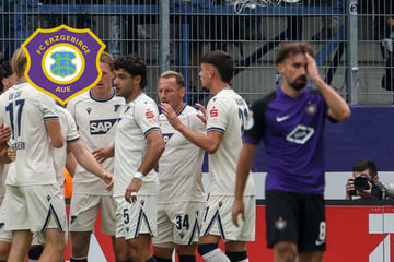 DFB-Pokal im Erzgebirge: Aue aufopferungsvoll aber chancenlos, TSG fährt ungefährdeten Sieg ein