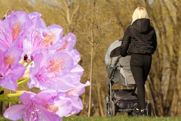 Familienausflug endet dramatisch: Einjährige vergiftet sich an weit verbreiteter Pflanze