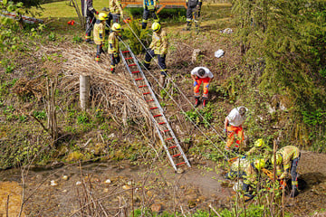 Böschungssturz endet im Bach: Verletzte Seniorin per Trage gerettet