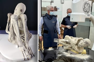"100 Prozent echt": Ufologen verkünden neue Erkenntnisse zu mysteriösen "Alien-Mumien aus Peru"