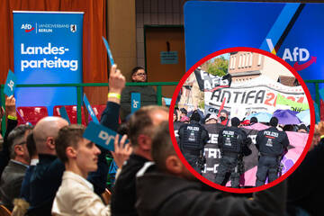 Kein Platz in Berlin: AfD muss wieder ins Umland ausweichen - das sorgt für Ärger