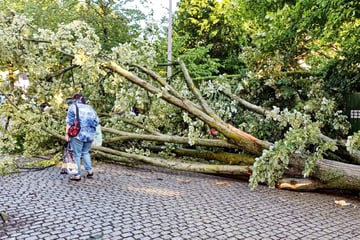 Berlin: Wieder Chaos und Schwerverletzte: Unwetter führt zu noch mehr Feuerwehr-Einsätzen