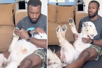 Rescue dog frozen with fear has the sweetest reaction to her owner's comfort