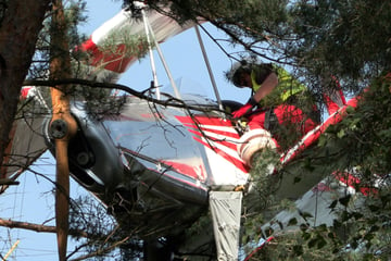 Flugzeug stürzt bei Landung ab: Pilot hängt mit Maschine in Bäumen fest