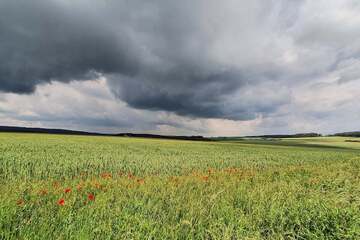 Thüringen-Wetter: Heftiger Starkregen, Sturmböen und Hagel