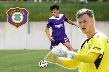 Erzgebirge Aue löst Vertrag mit Offensivspieler auf und empfängt vertragslosen Keeper