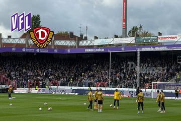 Dynamo in Osnabrück live: Dicke Überraschung im Tor! SGD-Coach Stamm schickt diese Elf auf den Platz