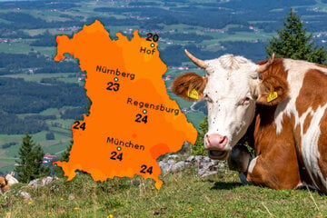 Sonniger Sonntag erwartet – Wochenstart mit vielen Wolken in Bayern