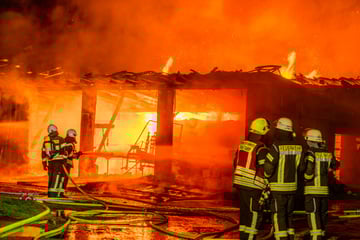 Lagerhalle auf Bauernhof in Vollbrand! Tiere medizinisch untersucht