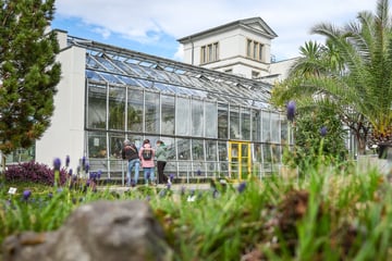 Wie Sachsens botanische Gärten mit Diebstählen kämpfen müssen - nur Leipzig nicht