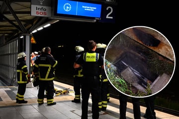 Hamburg: Linksextreme Brandanschläge: Bahnstrecke Hamburg-Berlin bis Samstag lahmgelegt